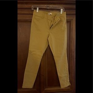 NWT LOFT mustard yellow pants. Flat front. Size 6P